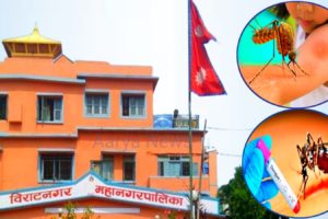 विराटनगरमा डेंगुबाट विरामी हुने संख्या २३ पुग्यो