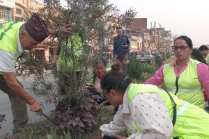 मृत्युवरण गर्न लागेको बोटबिरुवाको संरक्षणतर्फ निःशुल्क अभियानको ध्यान