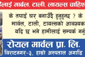 नेता भन्दछन् नेतालाई बिगार्ने पत्रकार हुन्: पत्रकार तीन वर्गका छन्